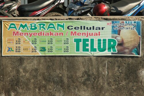 cellular telur