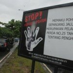 Jangan Pilih Pemaku Pohon!